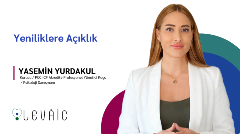 Yeniliklere Açıklık